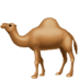 :camel: