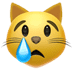 :crying_cat:
