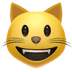 :grinning_cat:
