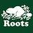 Roots